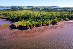 Island Nature Trust’s properties, such as the Crown Point Wji’kijek Natural Area in Alexandra, P.E.I., contain a treasure trove of ecosystem services that shield the Island from extreme weather events. PHOTO CREDIT: Island Nature Trust