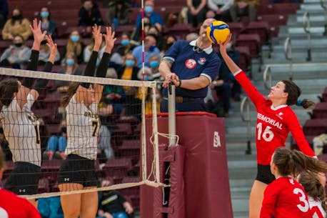Ready to test their wings: The Memorial University Sea-Hawks women’s volleyball team looking for positive strides in season opener