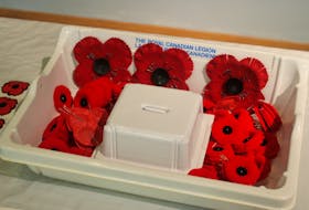 The poppy campaign supports veterans and their families.