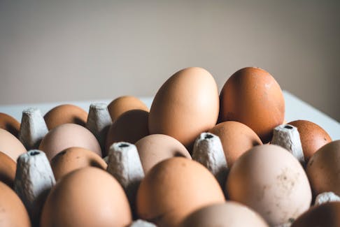 Eggs are a great source of protein and remain relatively cheap compared to other protein-rich food, making them a great option for East Coast families. And they're not just a breakfast food - they can be consumed in many different dishes any time of day. - Unsplash