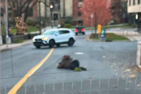 Image from Twitter user @halifaxsig calling out drivers for not stopping to help a homeless man lying in the street. (Twitter)