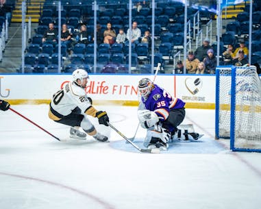 Event Feedback: Maine Mariners vs. Newfoundland Growlers - ECHL