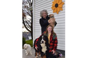 Bernadette (Bernie) McKeigan-Withers and her granddaughter Lailee Head are shown with Molly the Bernese Mountain dog, plus Riley, left, and Ralphie, being held by Bernie. They are donating to the SPCA in honour of Bernie’s son and Lailee’s father, the late Jeff Head.