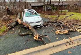 A vehicle in front of a Rolling Hills home appeared damaged by a fallen tree, from overnight storm, near Waverley December 1, 2022.
TIM KROCHAK PHOTO