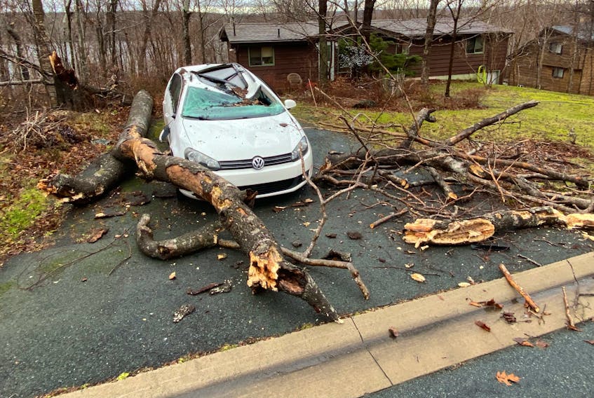 A vehicle in front of a Rolling Hills home appeared damaged by a fallen tree, from overnight storm, near Waverley December 1, 2022.
TIM KROCHAK PHOTO