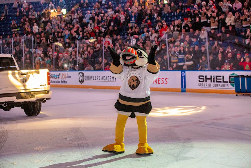 Could you be the buddy in Buddy the Puffin? 