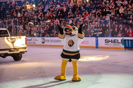 A puffin returns: Buddy the Puffin Jr makes his debut for the Newfoundland Growlers