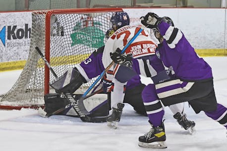Berwick, N.S.,-based Valley Wildcats snap Maritime Junior Hockey League losing streak