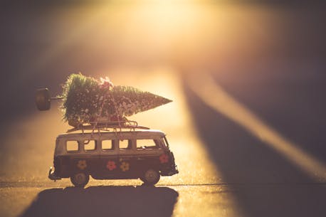 JANICE WELLS: Christmas is all about cherishing the hard and easier roads travelled and the prospect of making new memories