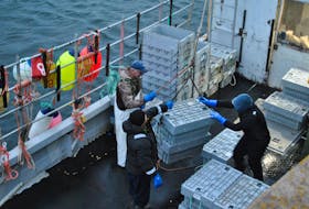The crew of the Haulin’ Along offload their day’s catch at the Falls Point wharf in Woods Harbour on Dec. 8. The lobster fishery in southwestern Nova Scotia has opened with a $7 shore price, compared to the record setting shore price last season  of $11 a pound in LFA 33 and 34. KATHY JOHNSON