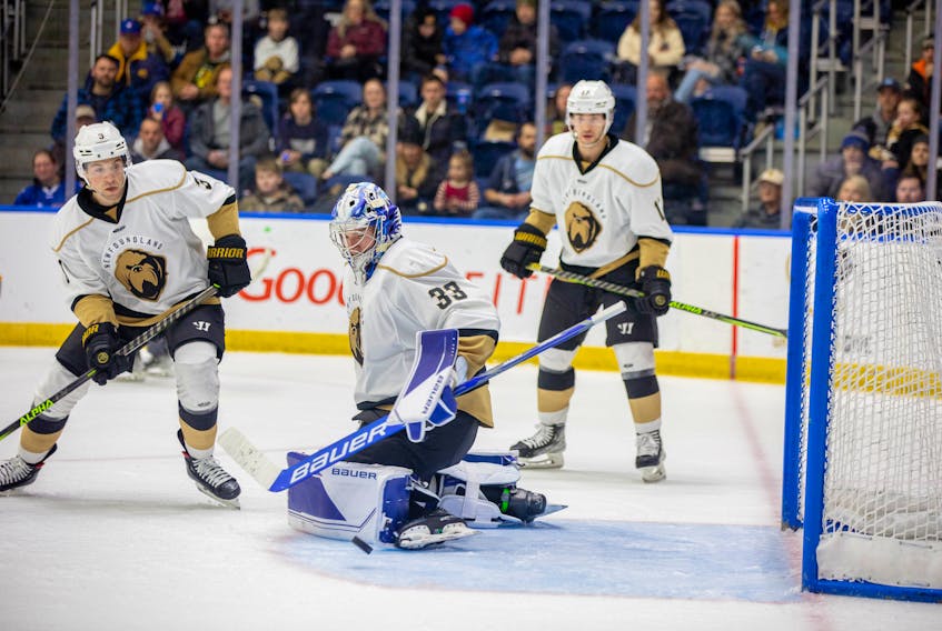 Newfoundland Growlers goaltender Luke Cavallin is near the top on several ECHL goaltending leader boards and is one of the reasons the Growlers have one of the best records in the league. Jeff Parsons/Newfoundland Growlers