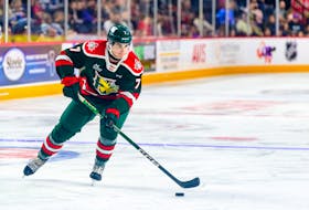 Halifax Mooseheads defenceman David Moravec will represent Czechia at this year's IIHF World Junior Hockey Championship in Halifax. - QMJHL