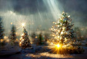 One piece of lore suggests the amount of sun on Christmas Day determines the frosts of May. -123RF