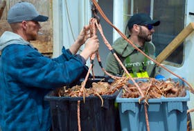 Crew members of the fishing vessel Bottom Dollar unloading crab at the wharf on Southside Road in St. John’s during the 2022 fishing season. Harvesters in Newfoundland and Labrador wrapped up the crab fishing season in August. Keith Gosse/The Telegram