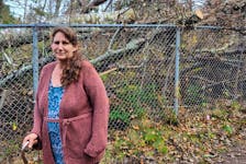 Margaret Clow, a Montague resident, says students attending Montague Regional High School had to climb over trees and walk through the woods on their way to school for almost a month after a trail was blocked by fallen trees in the wake of post-tropical storm Fiona. Logan MacLean • The Guardian