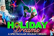 Holiday Cirque is presenting its Holiday Dreams show at the Rath Eastlink Community Centre in Truro on Dec. 21, and the show is free for the public.