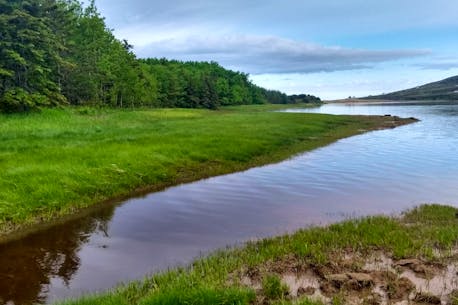 Informal West Mabou golf course proposal leaves residents in 'odd situation,' Burrill says