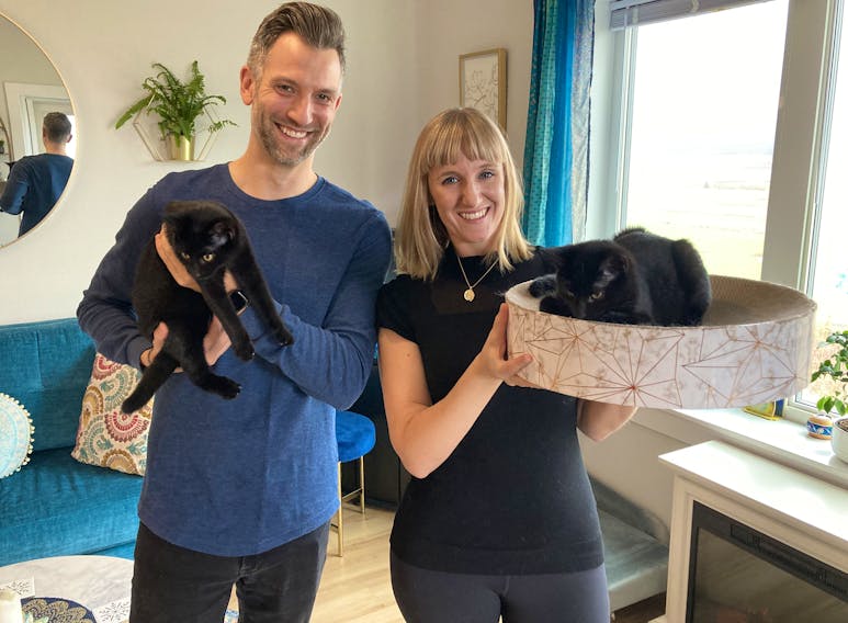 Aurora Scott and her partner, Stu Hiduk, rescued two stray kittens from the roadside in New Minas and have kept Lucy, (in Scott's arms). Salem has been taken in by a friend. - Ian Fairclough