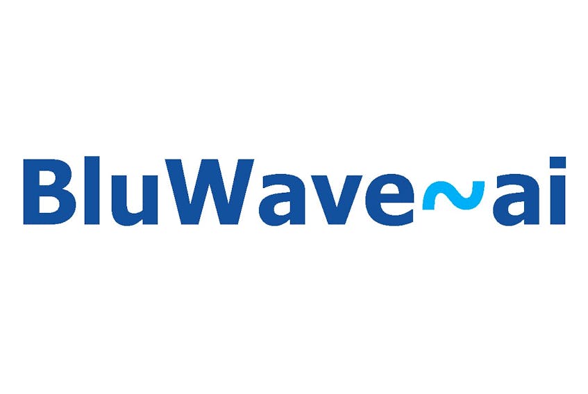 BluWave-ai has launched a new centre of excellence in Summerside's downtown and announced the company's first hire in the city. 