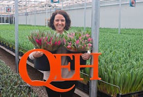 MaryEllen Hughes, QEH Foundation director of philanthropy, visited the tulip greenhouse at Vanco Farms to see the flowers that are available as part of the foundation's tulip fundraiser.