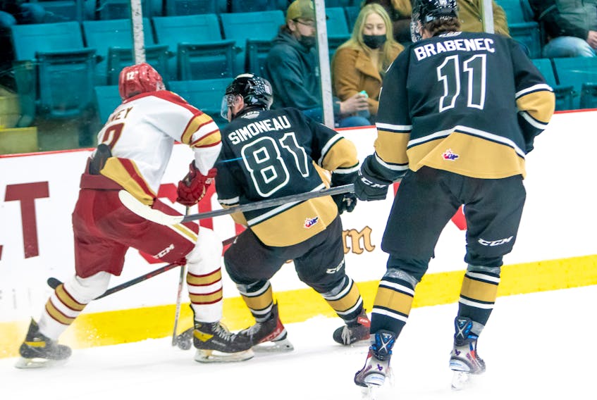Charlottetown Islanders forward Xavier Simoneau, 81, and Riley Kidney of the Acadie-Bathurst Titan battle for possession of the puck in a Quebec Major Junior Hockey League game in Bathurst, N.B., on Feb. 13. Charlottetown won the contest 6-5 in overtime. Bryannah James/Acadie-Bathurst Titan