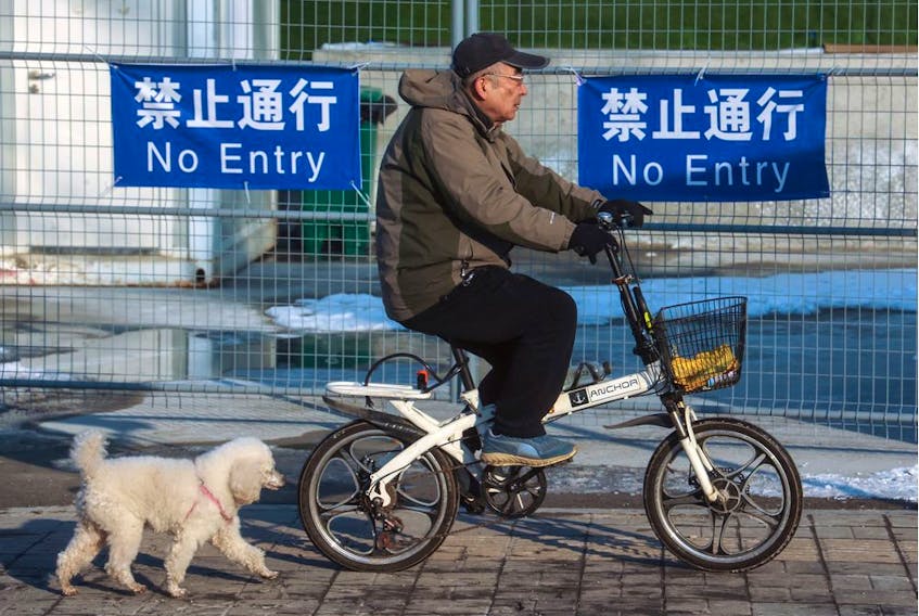  A Beijing resident and his dog pass a fence around part of the closed loop as seen from a shuttle bus at the Beijing 2022 Winter Olympics on Tuesday, February 15, 2022. Gavin Young/Postmedia
