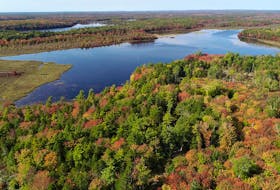 /The Nature Conservancy of Canada has purchased for protection a 1,094-hectare section of mature Acadian forest located along 25 kilometres of tranquil lakefront shoreline and freshwater wetlands in southwestern Nova Scotia near Upper Ohio.