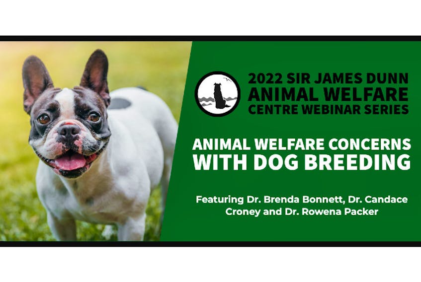 The Sir James Dunn Animal Welfare Centre at UPEI's Atlantic Veterinary College will host a three-part webinar series focusing on animal welfare issues within dog breeding in March.