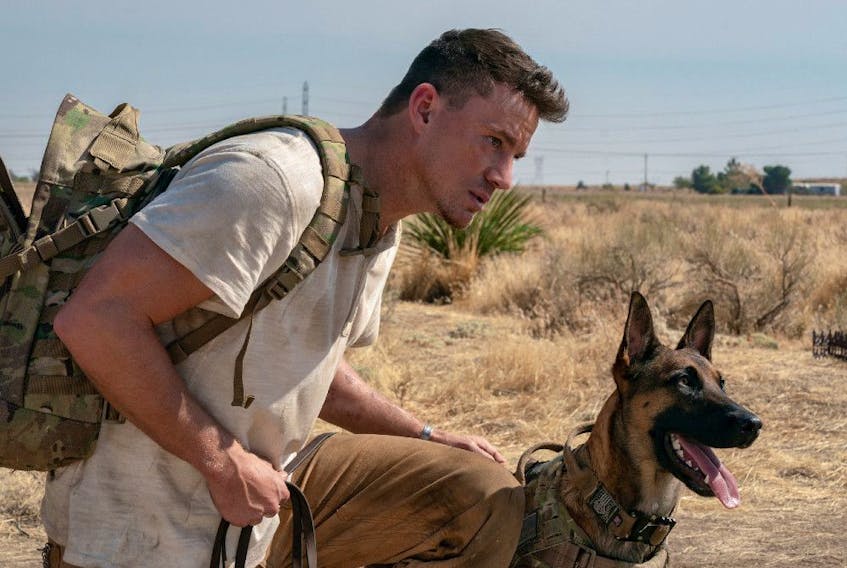 Channing Tatum and one of the three dogs who plays Lulu in Dog.