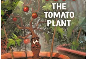 Singer-songwriter Dave Carroll weaves a gentle tale in Tom the Tomato Plant, his new children’s picture book, touching on compassion, gratitude and what can happen when people intentionally choose small acts of kindness.