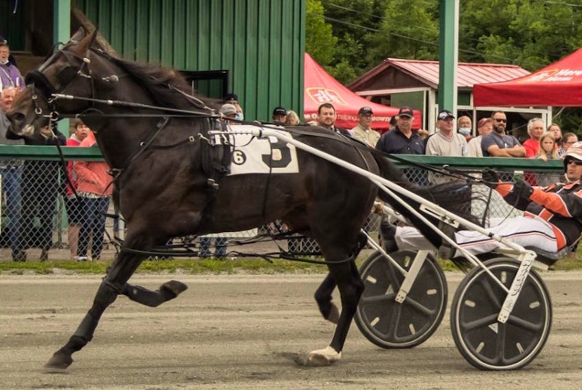 Rotten Ronnie and Redmond Doucet Jr. are shown in Atlantic Sires Stakes action at Northside Downs in North Sydney last season. At the time, Rotten Ronnie was in his second year in the series. PHOTO CONTRIBUTED/TANYA ROMEO. 