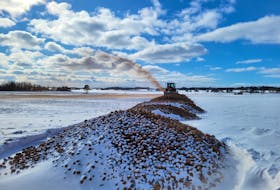A farmer with Visser Produce destroys their 2021 potato crop. Both the Liberal and Green Opposition have urged the province to remove ‘index fields’ from production entirely. There have been 33 such fields since 2000.