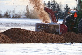 A farmer near Tryon destroys part of the 2021 potato crop. Both the Liberals and Greens have urged the province to remove index fields or fields that have had a previous finding of potato wart from production entirely. There have been 33 such fields since 2000.