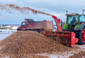 Logan Docherty of Skye View Farms in Elmwood uses a snow blower to destroy seed potatoes in this file photo. 

