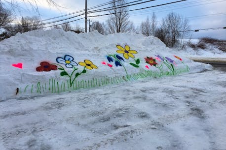 Greenwich, N.S., business spreading cheer by painting snowbank