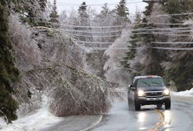 FOR NEWS STORY:
A truck passes over fallen trees laden with ice, on highway 101 during a bout of winter weather near Mount Uniacke, NS Friday February 4, 2022.

TIM KROCHAK PHOTO