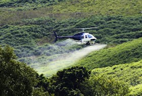 3338154 - crop sprayer duster helicopter, spraying mountains, fields and land
Glyphosate spraying
Aerial Spraying