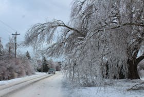 Trees covered with ice bend nearly interfering with a lane of traffic along Lingan Road. Some residents still waiting for power in the aftermath of a recent ice storm may not see that restoration occur until Tuesday. IAN NATHANSON • CAPE BRETON POST