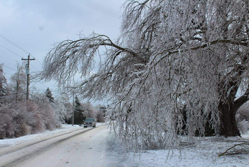 Trees covered with ice bend nearly interfering with a lane of traffic along Lingan Road. Some residents still waiting for power in the aftermath of a recent ice storm may not see that restoration occur until Tuesday. IAN NATHANSON • CAPE BRETON POST