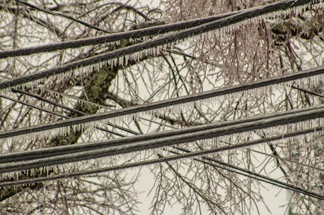 'It was a nightmare': Cape Breton power outages result in significant losses for some