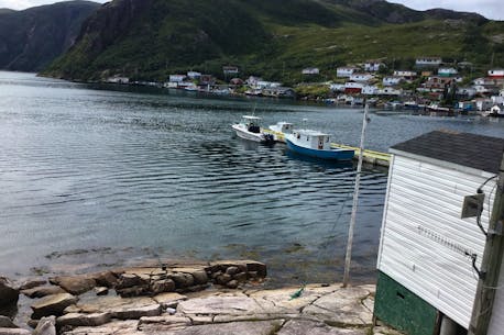 Census 2021 indicates that rural Newfoundland and Labrador is becoming 'a little bit lonesome'