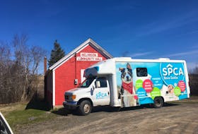 “Trap, Neuter, Return work is the best, most humane solution to handle a feral cat situation,” explains Heather Woodin, Director of Programs & Administration for the Nova Scotia SPCA. PHOTO CREDIT: Contributed.