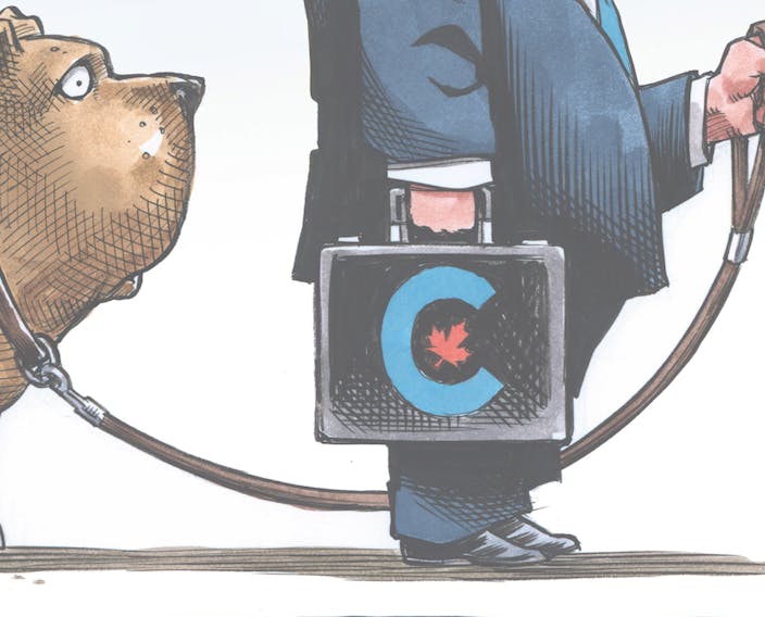 BRUCE MacKINNON CARTOON: Sure you want to lead dog-eat-dog Conservatives,  Mr. Charest? | SaltWire