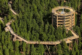 An aerial view of the tree walkway and lookout tower at the Lipno ski resort in the South Bohemian region of the Czech Republic. The structure is likely to resemble a similar mountain-top project proposed for the Cape Smokey resort in the Cape Breton highlands. CONTRIBUTED
