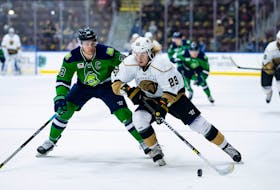 The 21-year-old Orrin Centazzo is the Growlers’ second-leading scorer and has shone on special teams this season. Jeff Parsons/Newfoundland Growlers 