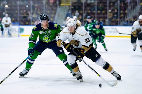Newfoundland Growlers' Centazzo not taking 'anything for granted' in first pro season