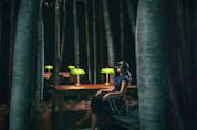 VR headsets are used in a library-like setting that is also a forest. 