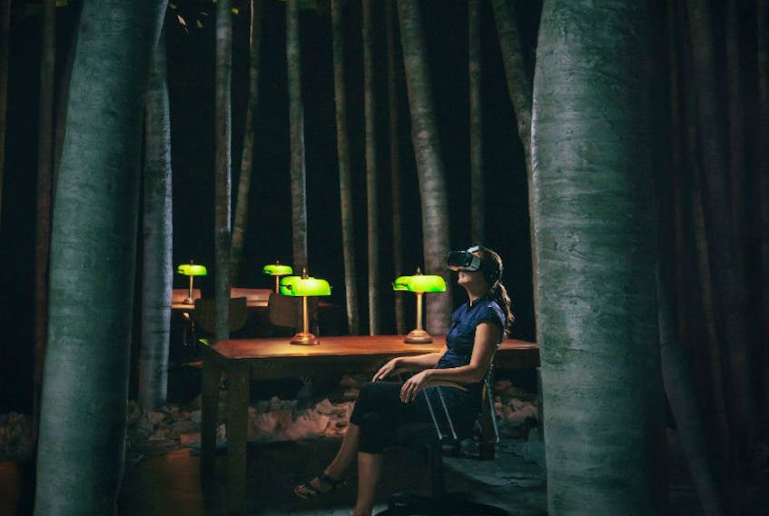 VR headsets are used in a library-like setting that is also a forest. 