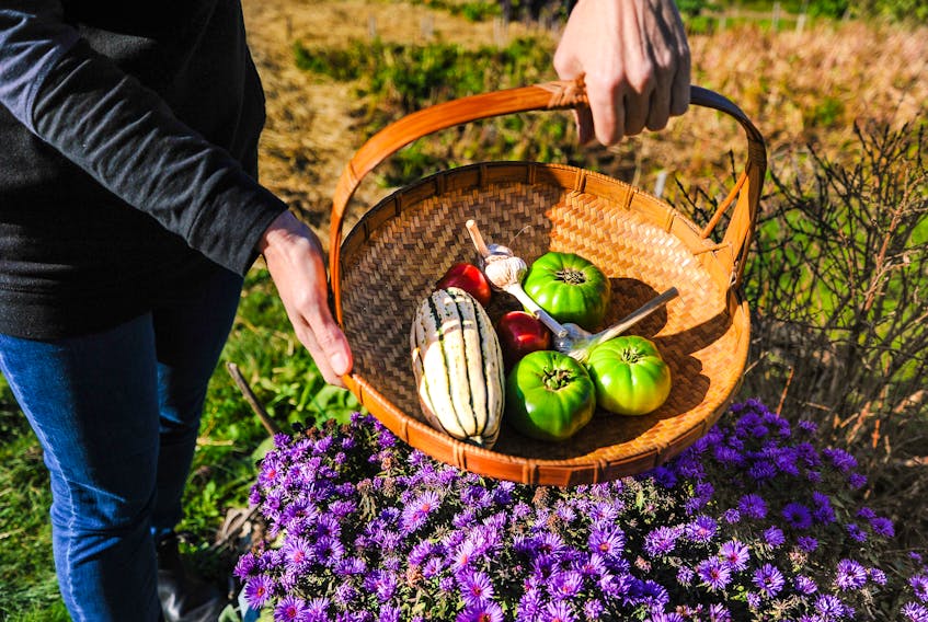 It can be hard to decide what to grow in a home vegetable garden. Expert Elizabeth Peirce recommends growing high value crops like heirloom tomatoes.