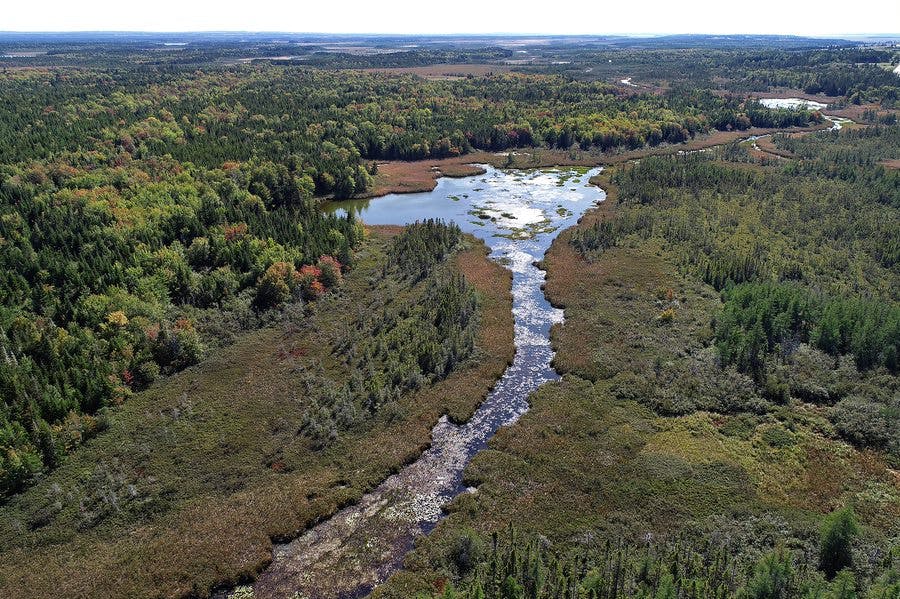 N.S., N.B. Announce Options For Fixing Dikes On Isthmus Of Chignecto ...